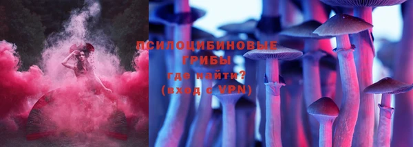 mix Гусиноозёрск