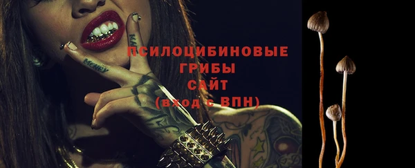 дживик Гусь-Хрустальный