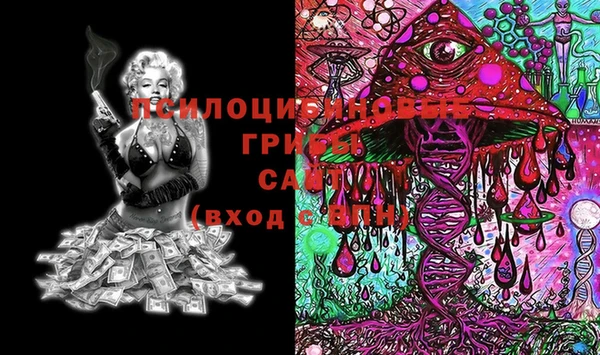 mix Гусиноозёрск