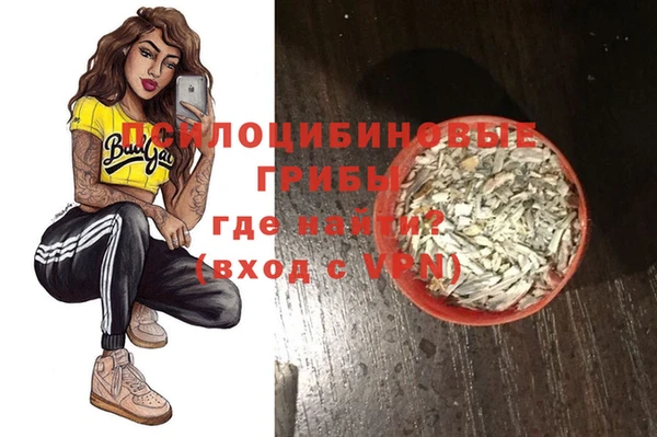 дживик Гусь-Хрустальный