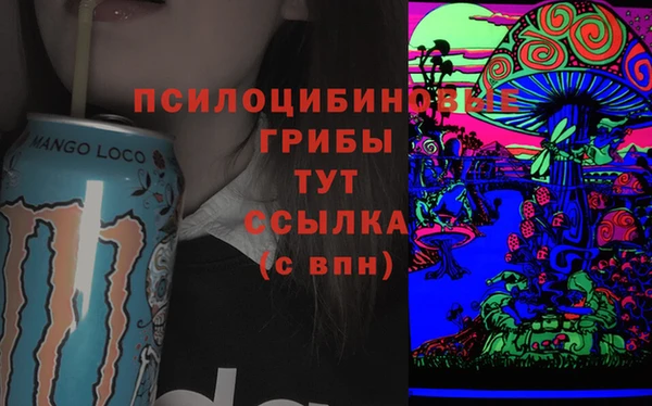 первитин Гусев