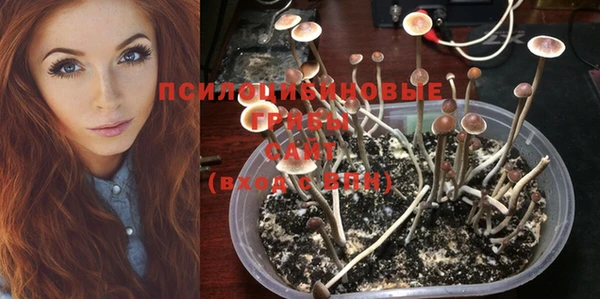 mix Гусиноозёрск