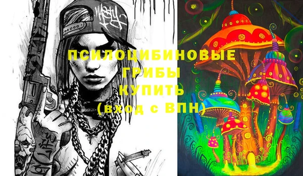 первитин Гусев