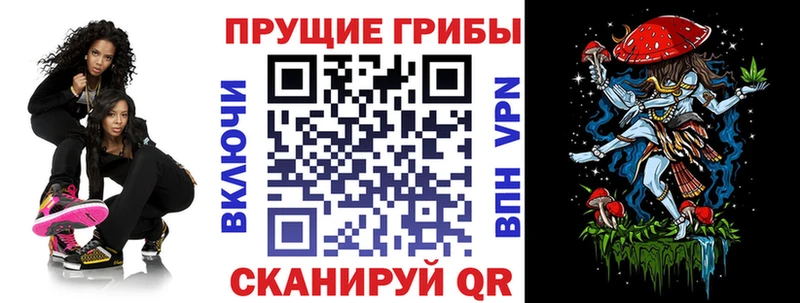 Галлюциногенные грибы GOLDEN TEACHER  Купить закладки  Слюдянка 